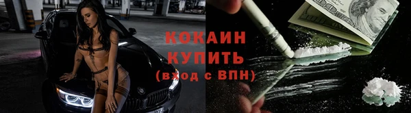 кокс Арсеньев