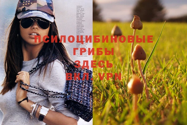 кокс Арсеньев
